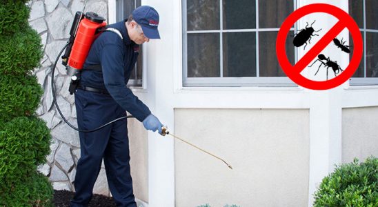 Bolu Karınca İlaçlama böcek ilaçlama ve haşere kontrolü — ilaclama-tr.com